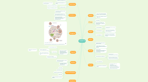 Mind Map: COVID-19