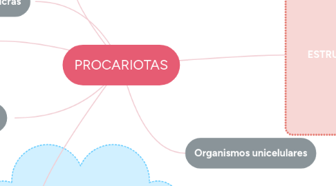Mind Map: PROCARIOTAS