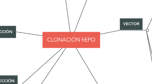 Mind Map: CLONACIÓN hEPO