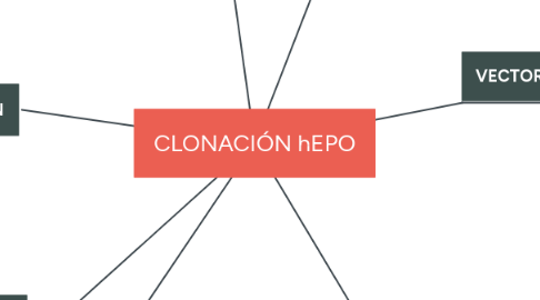 Mind Map: CLONACIÓN hEPO