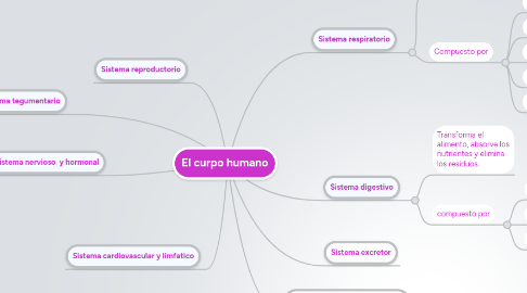 Mind Map: El curpo humano