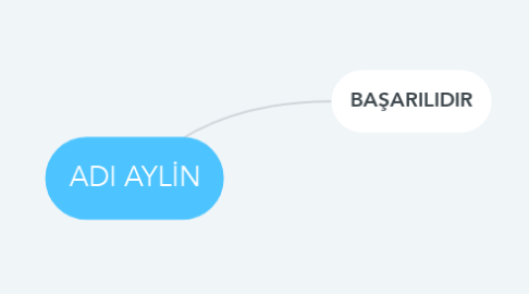 Mind Map: ADI AYLİN