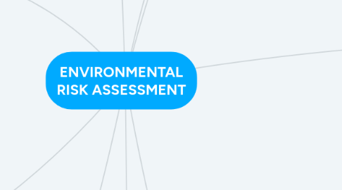 Mind Map: ENVIRONMENTAL RISK ASSESSMENT