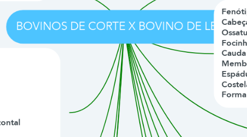 Mind Map: BOVINOS DE CORTE X BOVINO DE LEITE