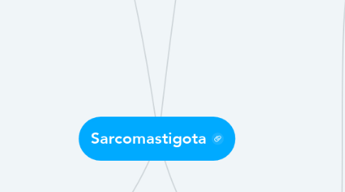 Mind Map: Sarcomastigota