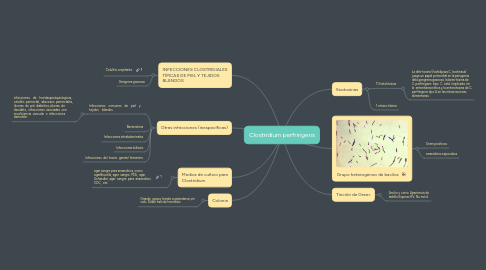 Mind Map: Clostridium perfringens