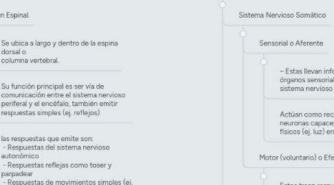 Mind Map: Sistema Nervioso.