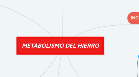 Mind Map: METABOLISMO DEL HIERRO