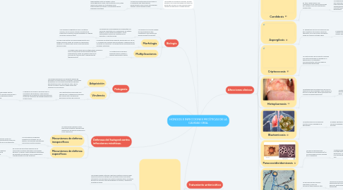 Mind Map: HONGOS E INFECCIONES MICÓTICAS DE LA CAVIDAD ORAL