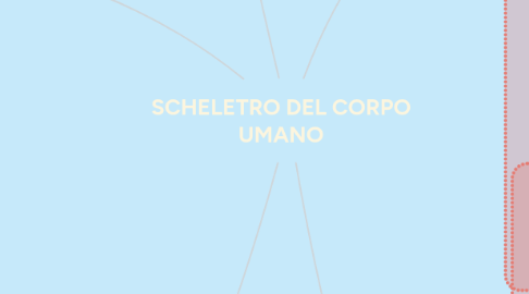 Mind Map: SCHELETRO DEL CORPO UMANO