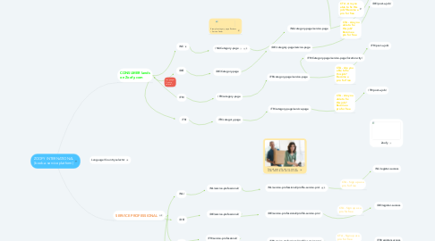 Mind Map: ZOOFY INTERNATIONAL (book-a-service platform)