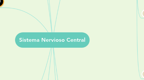 Mind Map: Sistema Nervioso Central
