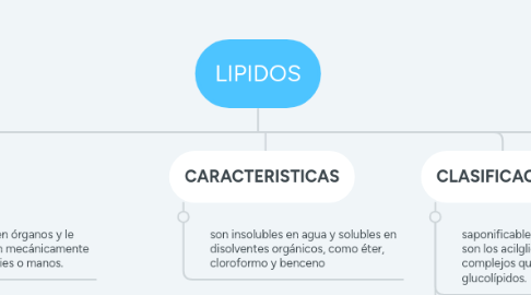 Mind Map: LIPIDOS