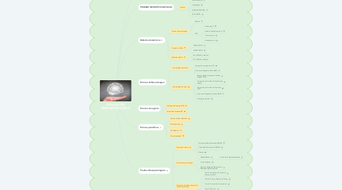 Mind Map: EVALUACIÓN NEUROPSICOLOGICA