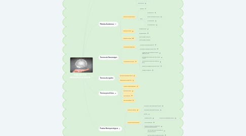 Mind Map: Trastornos del desarrollo del Sistema Nervioso