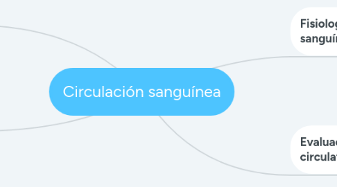Mind Map: Circulación sanguínea