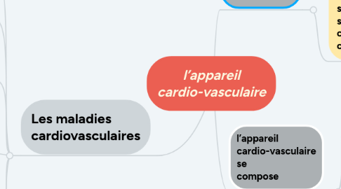 Mind Map: l’appareil cardio-vasculaire