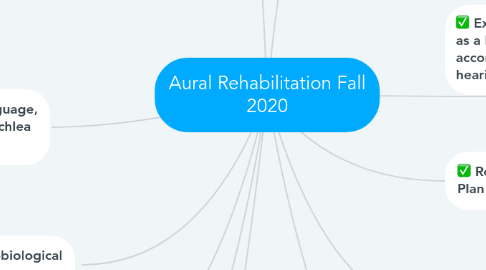 Mind Map: Aural Rehabilitation Fall 2020