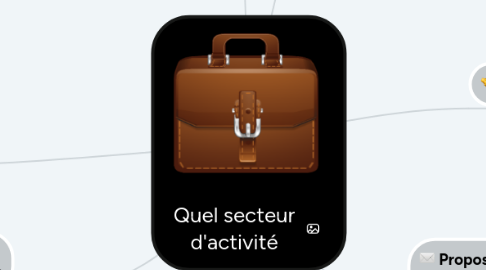 Mind Map: Quel secteur d'activité