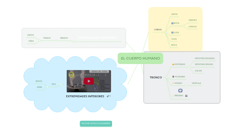 Mind Map: EL CUERPO HUMANO