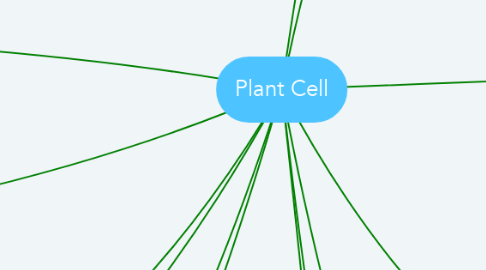 Mind Map: Plant Cell