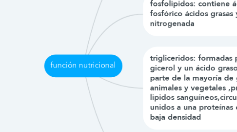 Mind Map: función nutricional