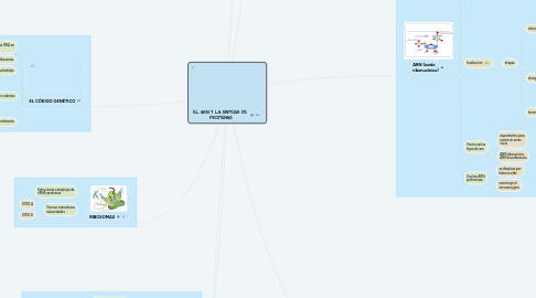 Mind Map: EL ARN Y LA SÍNTESIS DE PROTEÍNAS