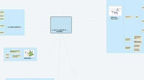 Mind Map: EL ARN Y LA SÍNTESIS DE  PROTEÍNAS