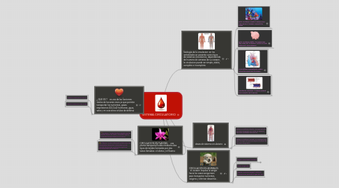 Mind Map: SISTEMA CIRCULATORIO