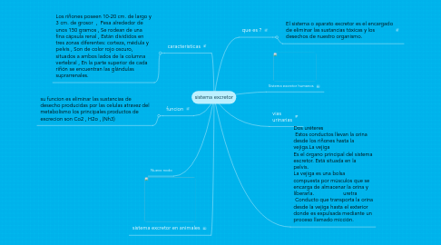 Mind Map: sistema excretor