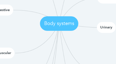Mind Map: Body systems