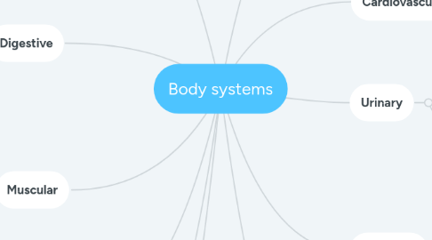 Mind Map: Body systems