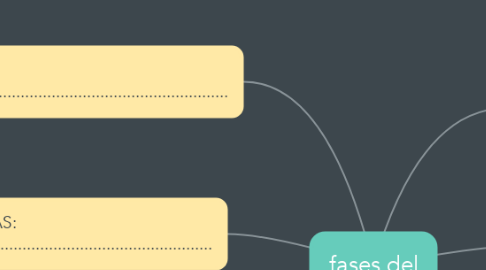 Mind Map: fases del