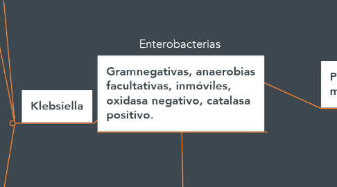 Mind Map: Enterobacterias