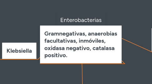 Mind Map: Enterobacterias