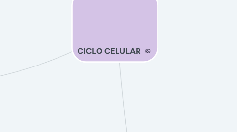 Mind Map: CICLO CELULAR