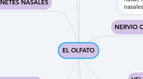 Mind Map: EL OLFATO