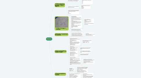 Mind Map: Naturfag