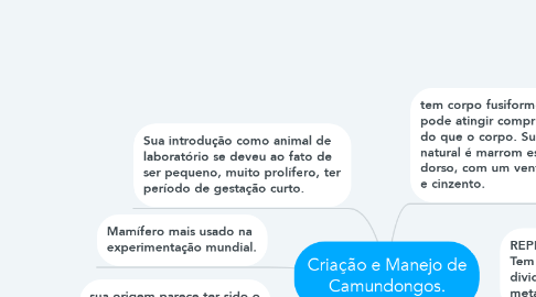 Mind Map: Criação e Manejo de Camundongos.