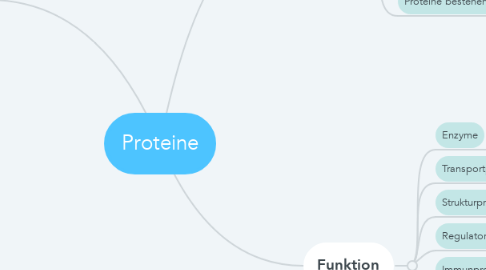 Mind Map: Proteine