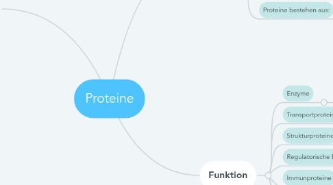 Mind Map: Proteine