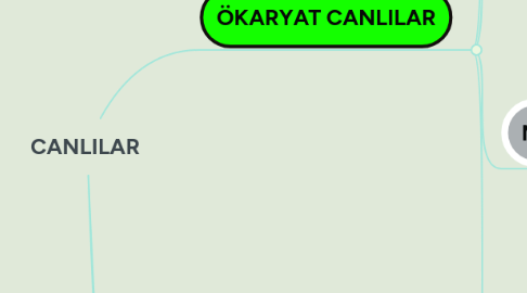 Mind Map: CANLILAR