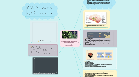 Mind Map: Funciones de los neurotransmisores relacionados al consumo de THC (Neurotransmisores y sustancias psicoactivas)