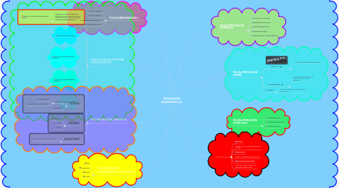 Mind Map: MEĐUKATNE KONSTRUKCIJE