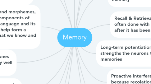 Mind Map: Memory