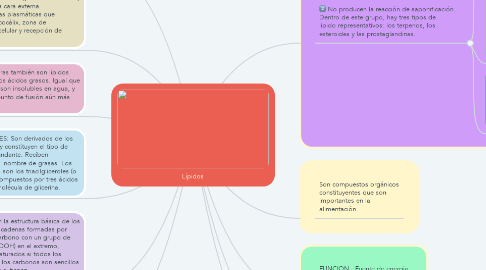Mind Map: Lípidos