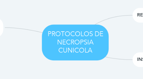 Mind Map: PROTOCOLOS DE NECROPSIA CUNICOLA