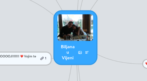 Mind Map: Biljana u Vijeni