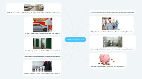 Mind Map: Bradyl Storage Solutions