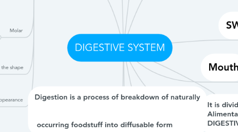 Mind Map: DIGESTIVE SYSTEM